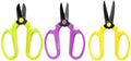 Flower Scissors Set of 3 Carbon Steel Blades, 3 Sizes In Polychromatic Colors