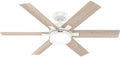 Hunter - Georgetown Indoor Ceiling Fan With Light, Remote Control, 52-inch, Modern-style, 6-speed DC Motor, Express Install, for living rooms, bedrooms, home offices, kitchens (Fresh White)