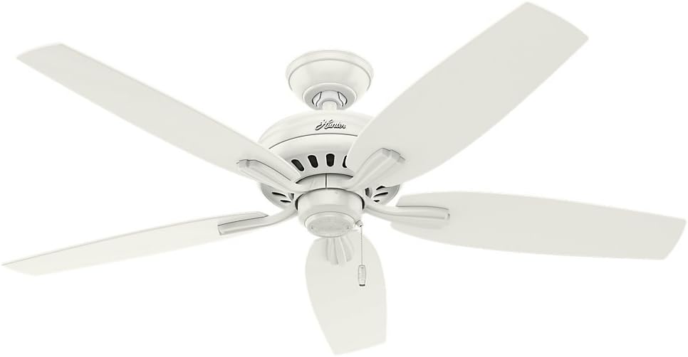 Hunter Fan 52 inch Casual Fresh White Indoor Ceiling Fan with Light Kit (Renewed)
