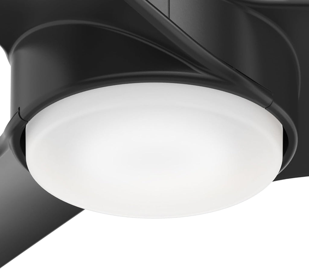 Hunter 54 inch Outdoor or Indoor Ceiling Fan with LED Light - Black Ceiling Fan with Wall Control, For Patio, Garage, or Porch, Quiet, Standard Mount, 3 Blades - Havoc 59471, Matte Black