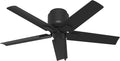 Hunter Fan 44 inch Low Profile Matte Black Outdoor Ceiling Fan with 5 Blades and Pull Chain (Renewed)
