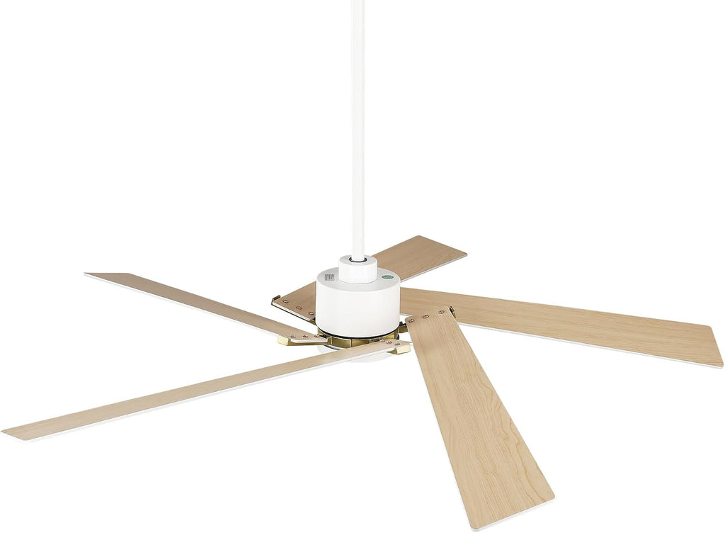 60 Inch Ceiling Fans with Lights and Remote, Modern Large Ceiling Fan with Reversible DC Motor, Dimmable LED, Memory Function & Timer, Quiet Outdoor Ceiling Fans for Patios Living Room Bedroom