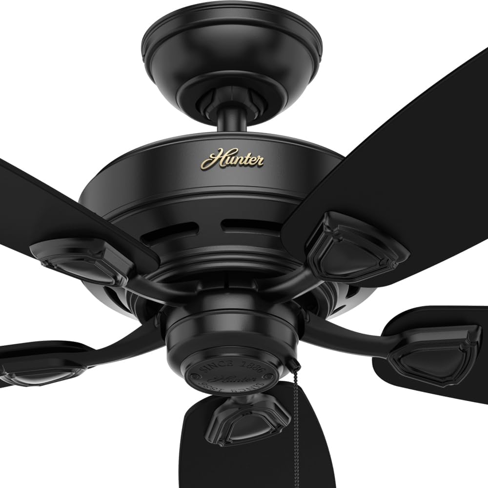 Hunter Fan Sea Wind Indoor / Outdoor Ceiling Fan with Pull Chain Control, 48', Black