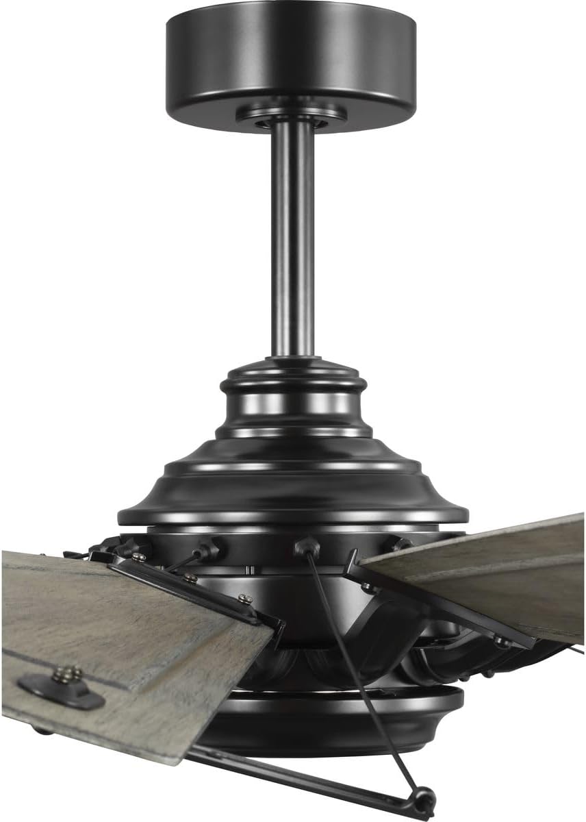 Progress Lighting P250098-31M Springer II - 12 Blade Ceiling Fan In Farmhouse Style-16.26 Inches Tall and 60 Inches Wide, Finish Color: Matte Black
