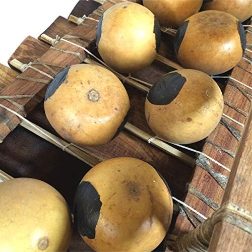 West African Professional Bala with Gum Rubber Mallets - C Major Pentatonic - Professional Marimba from Mali