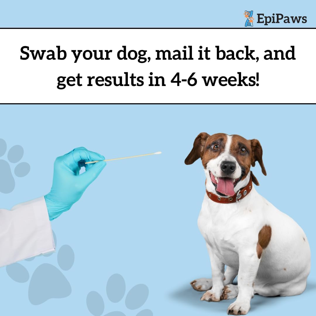 Dog Age Test - Includes Wellness Insights for Your Pet's Life Stage - At Home Epigenetic Biomarker Testing Kit, Great for Rescued Pets