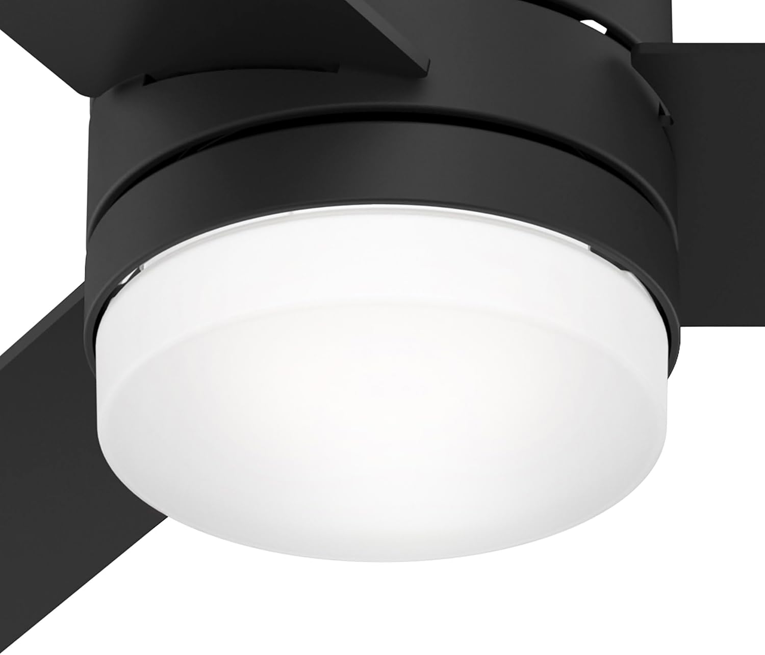 Hunter Fan 54 inch Ceiling Fan with Lights and Remote, Outdoor or Indoor Black Modern Ceiling Fan for Porch, Living Room, Office, Kitchen (Renewed)