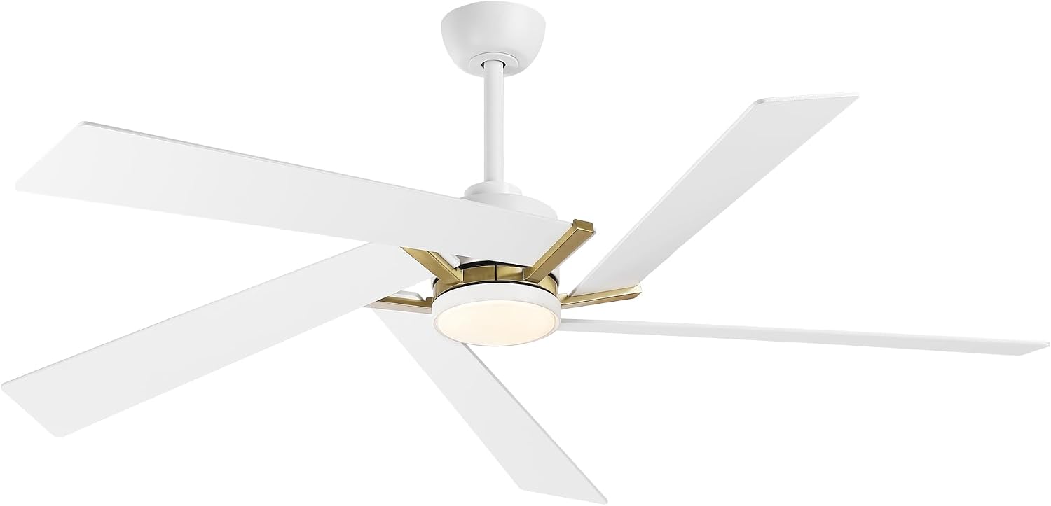 60 Inch Ceiling Fans with Lights and Remote, Modern Large Ceiling Fan with Reversible DC Motor, Dimmable LED, Memory Function & Timer, Quiet Outdoor Ceiling Fans for Patios Living Room Bedroom