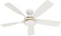 Casablanca - Julia Indoor/Outdoor Ceiling Fan With Light, Wall Control, Remote, 52-inch, 6-speed DC Motor, Energy Star, for porches, patios, sunrooms, bathrooms (Fresh White)