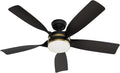 Casablanca Julia Outdoor Energy Star DC with LED Light 52 inch with remote and wall control Matte Black - Matte Black