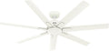 Hunter Fan 60 inch Matte White Indoor/Outdoor Ceiling Fan with 7 Baldes for Living Room, Bedroom, Farmhouse, Porch (Renewed)