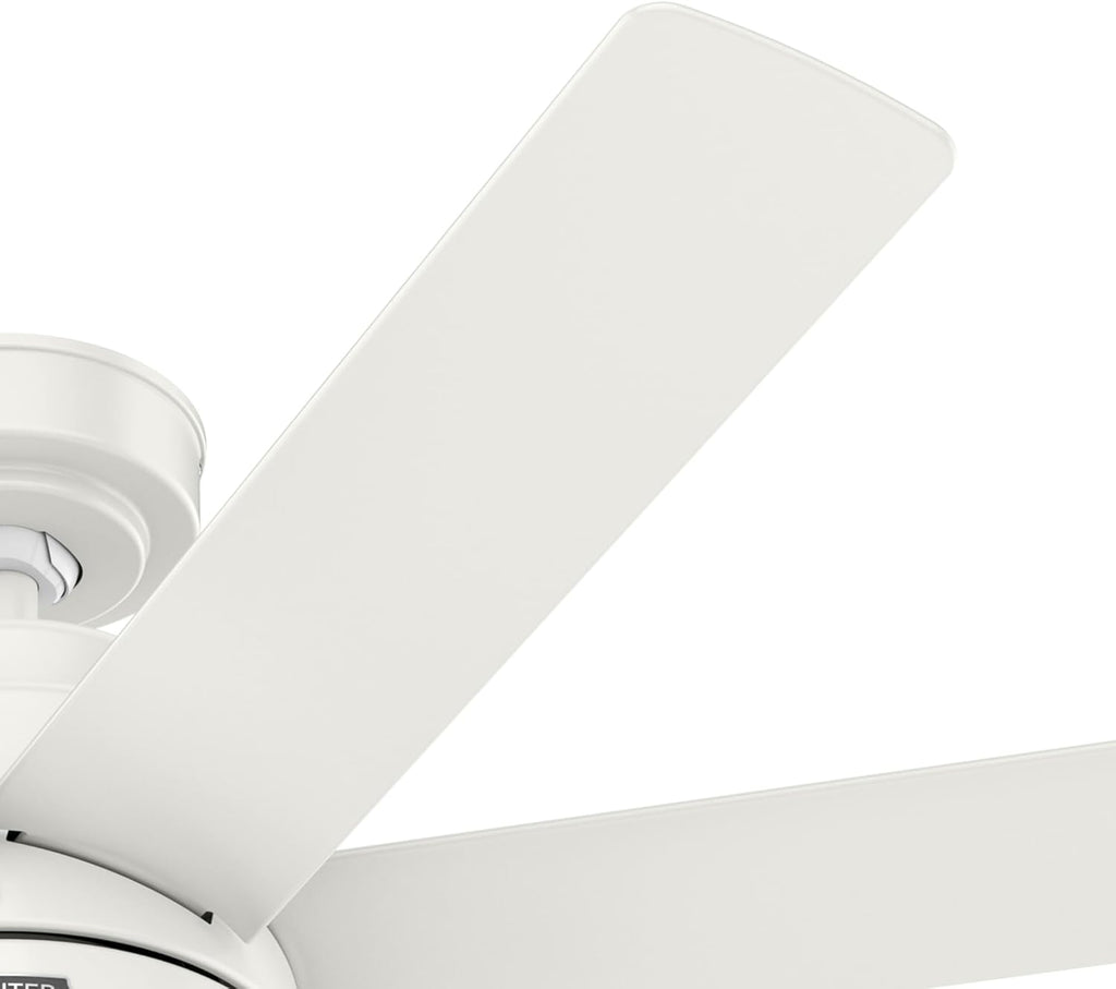 Hunter Brazos Outdoor with LED Light 52 inch Fresh White - Fresh White