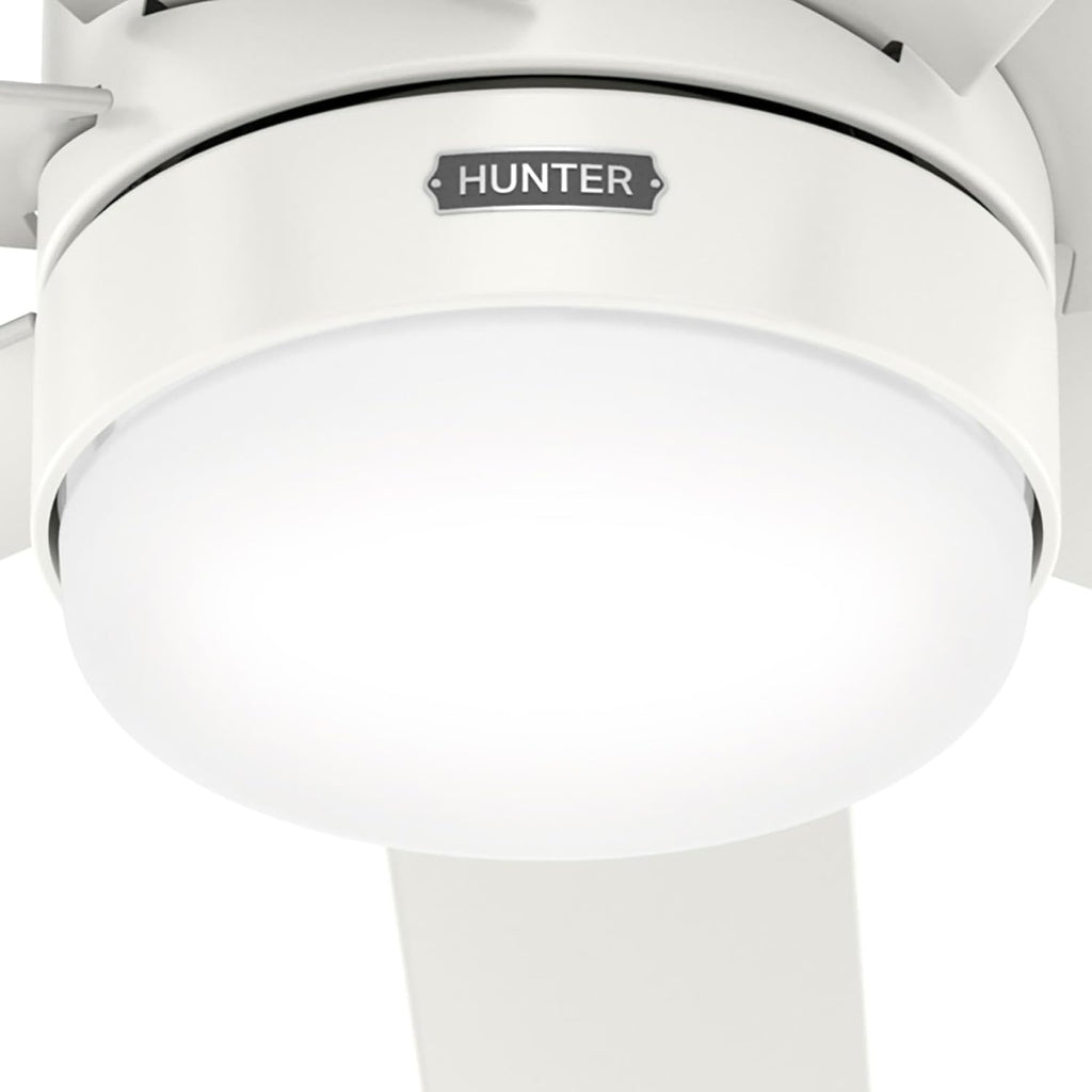 Hunter Brazos Outdoor with LED Light 52 inch Fresh White - Fresh White