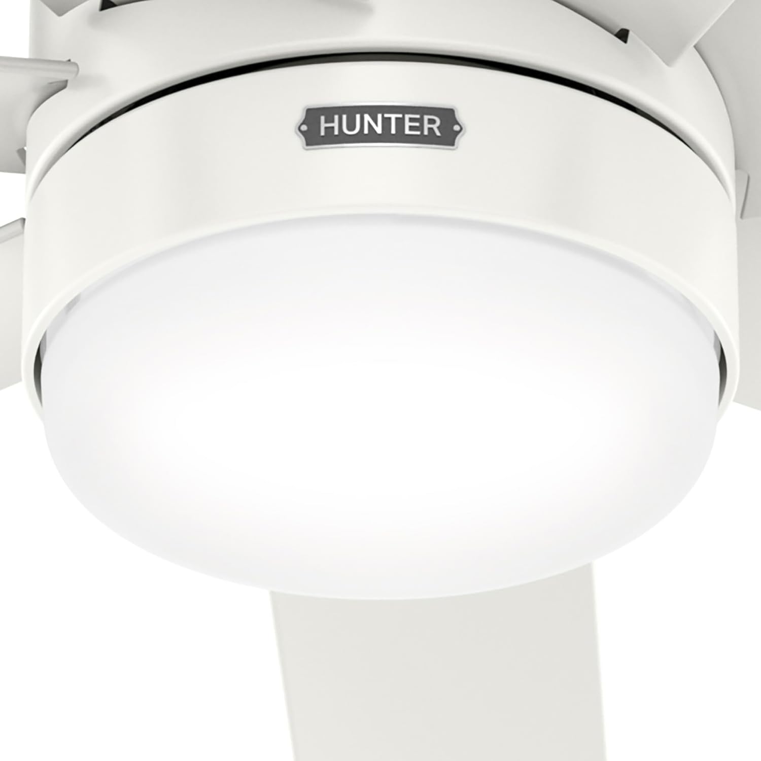 Hunter Brazos Outdoor with LED Light 52 inch Fresh White - Fresh White
