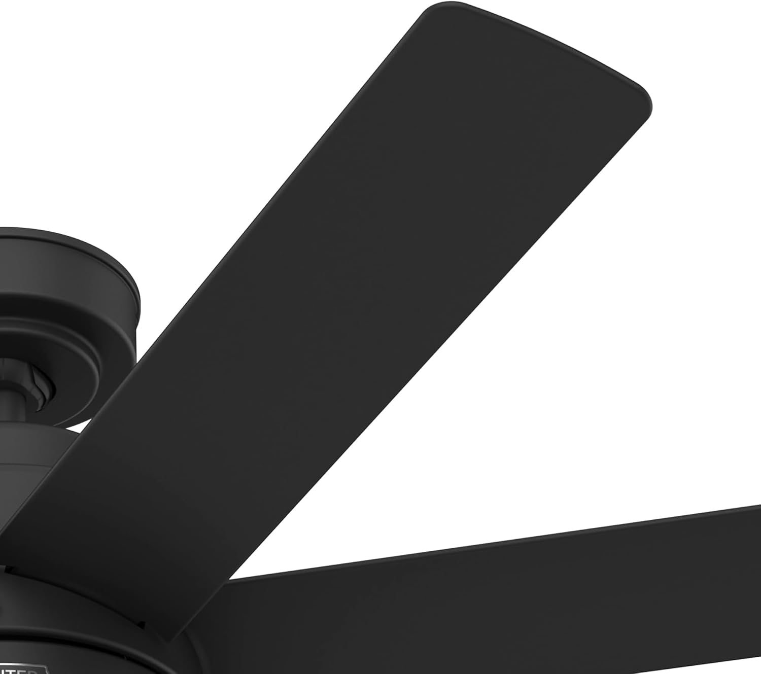 Hunter Brazos Outdoor with LED Light 52 inch Matte Black - Matte Black