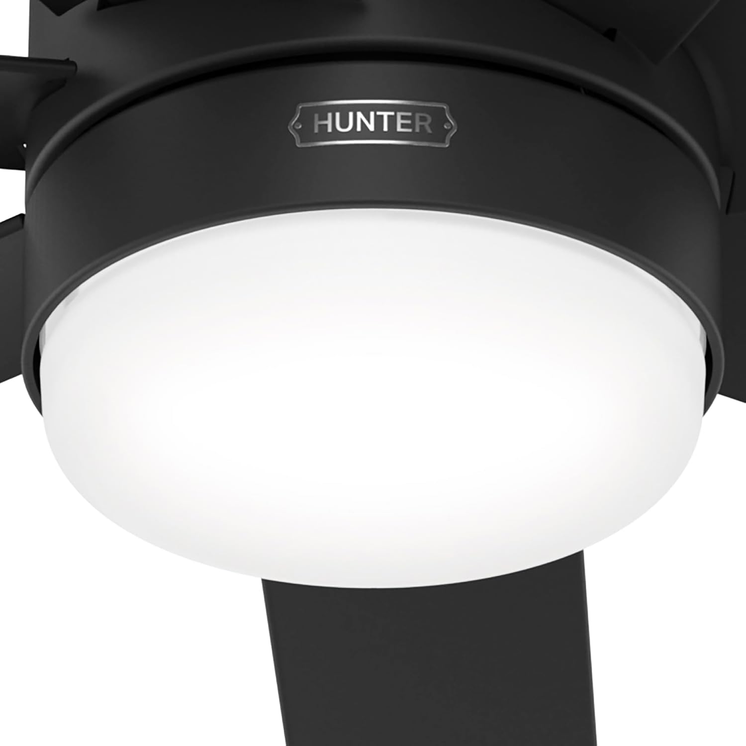 Hunter Brazos Outdoor with LED Light 52 inch Matte Black - Matte Black