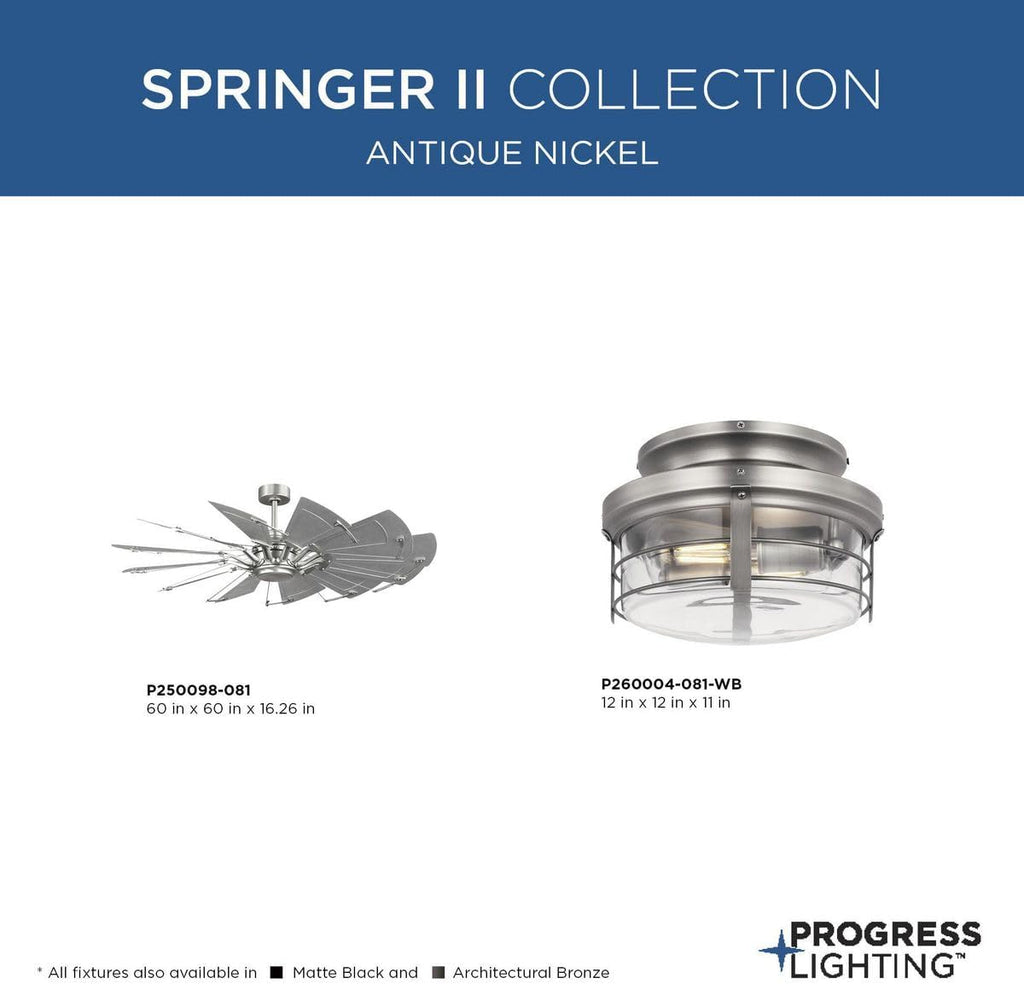 Progress Lighting P250098-081 Springer II - 12 Blade Ceiling Fan in Farmhouse Style-16.26 Inches Tall and 60 Inches Wide, Finish Color: Antique Nickel