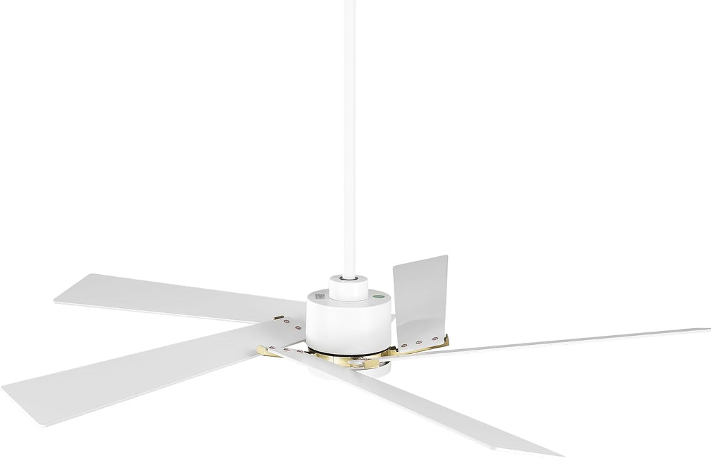 60 Inch Ceiling Fans with Lights and Remote, Modern Large Ceiling Fan with Reversible DC Motor, Dimmable LED, Memory Function & Timer, Quiet Outdoor Ceiling Fans for Patios Living Room Bedroom