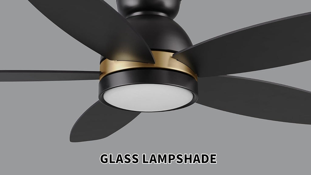 Carro 48' Ceiling Fan with Light Flush Mount, DC 10 Speeds Silent with Remote, 3 Light Colors Dimmable LED Ceiling Fan Low Profile for Living Room, Black