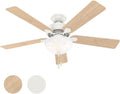 Hunter Fan 52 inch Indoor Ceiling Fan with Lights and Pull Chain, White Ceiling Fan for Bedroom, Living Room, Office, Kitchen (Renewed)