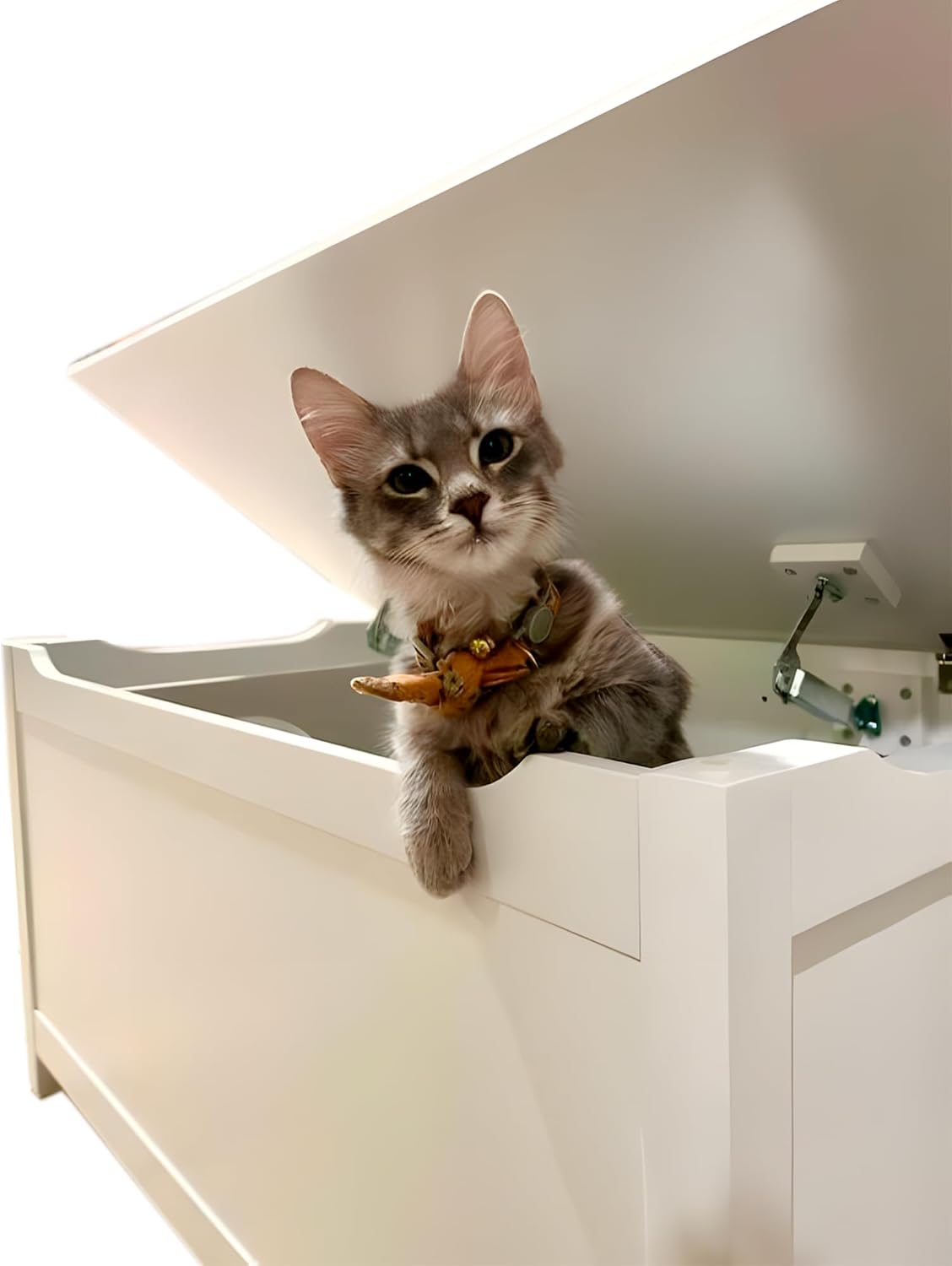 Parker Designer Catbox Cat Litter Box Enclosure, Hidden, Dog-Proof Pet Furniture with Cover, Elegant, Covered, Odor Contained for Large Cats,Furniture with Lid, Cat Litter Boxes, White