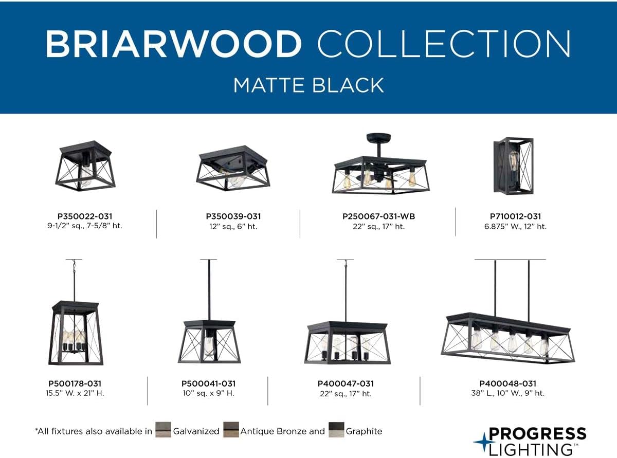 Progress Lighting Briarwood Collection 22-Inch 3-Blade AC Motor Farmhouse Ceiling Fan Matte Black, 17.00x22.00x22.00