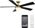 WAC Lighting Eclipse 5-Blade Aluminum Smart Ceiling Fan in Brass/Matte Black