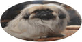 Pekingese Dog Coral Velvet Round Floor Mat Non-Slip Bath Rug Floor Covering for Bathroom Vanity Guest Suite & Vacation Home