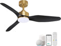 Hoenofly 48 Inch Smart Ceiling Fans with LED Lights Remote,Quiet DC Motor,Dimmable,Outdoor Indoor Gold Black Ceiling Fan Controlled by WIFI Alexa App,for Modern Bedroom Living Room Patio Porch