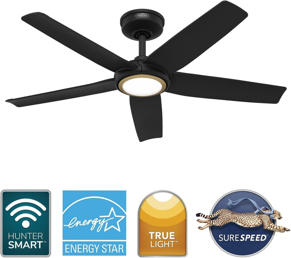 Hunter Fan Outdoor or Indoor Ceiling Fan, 44 in Matte Black Ceiling Fan with Light and Remote for Patios, Living Room, Bedroom, Porch, Garage, 5 Blades (Renewed)