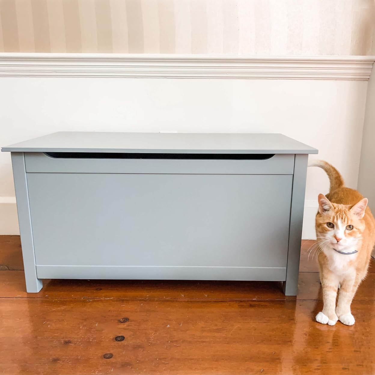 Parker Designer Catbox Cat Litter Box Enclosure, Hidden, Dog-Proof Pet Furniture with Cover, Elegant, Covered, Odor Contained for Large Cats, Litter Box Furniture with Lid, Cat Litter Boxes, Gray