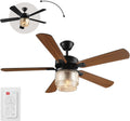 Globe Electric 37000023 52' 2-Light Ceiling Fan with Glass Shade, Remote Control, WhisperQuiet DC Motor, 6 Speeds, Matte Black, Indoor/Outdoor