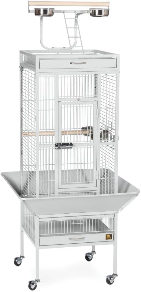 Prevue Pet Products Wrought Iron Select Bird Cage - Large Steel Cage with Rolling Stand, Seed Guards, and Playtop, Durable Design, Ideal for Conures and Medium Birds - Chalk White