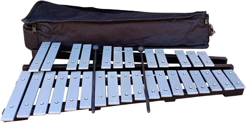 30 Note Xylophone with Mallets and Carry Bag - Portable Glockenspiel Musical Instrument for Kids Students Beginners