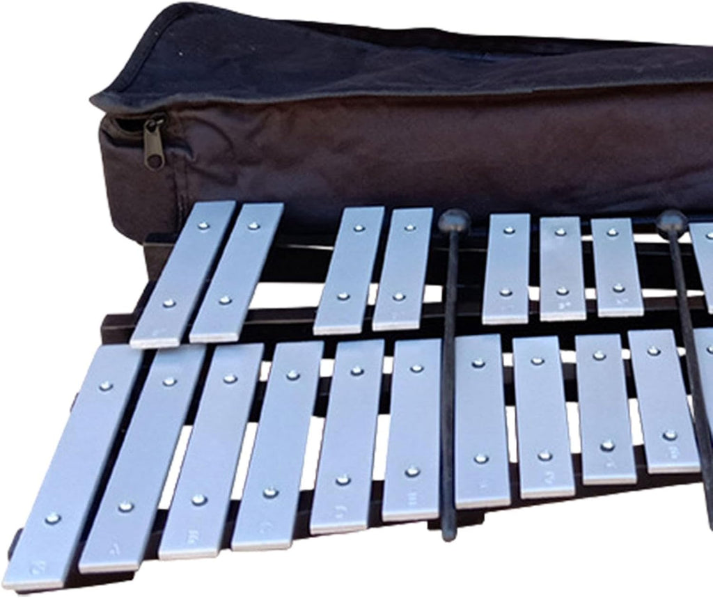30 Note Xylophone with Mallets and Carry Bag - Portable Glockenspiel Musical Instrument for Kids Students Beginners