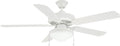 Litex E-WOD52WW5C All Weather Collection 52-Inch Indoor/Outdoor Ceiling Fan with Five White ABS Blades and Single Light Kit with Frost Glass