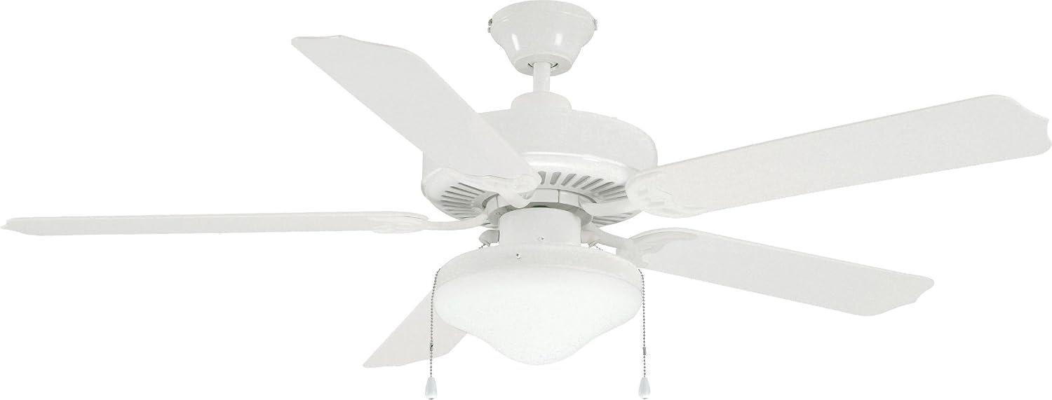 Litex E-WOD52WW5C All Weather Collection 52-Inch Indoor/Outdoor Ceiling Fan with Five White ABS Blades and Single Light Kit with Frost Glass