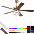 Parrot Uncle Ceiling Fan with Lights Gold Ceiling Fan with RGB Light for Indoor, Remote Control, 6 Speeds, 3 CCT, Memory Function, 5 Blades, Modern