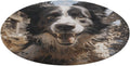 Pastor Border Collie Coral Velvet Round Floor Mat Non-Slip Bath Rug Floor Covering for Bathroom Vanity Guest Suite & Vacation Home