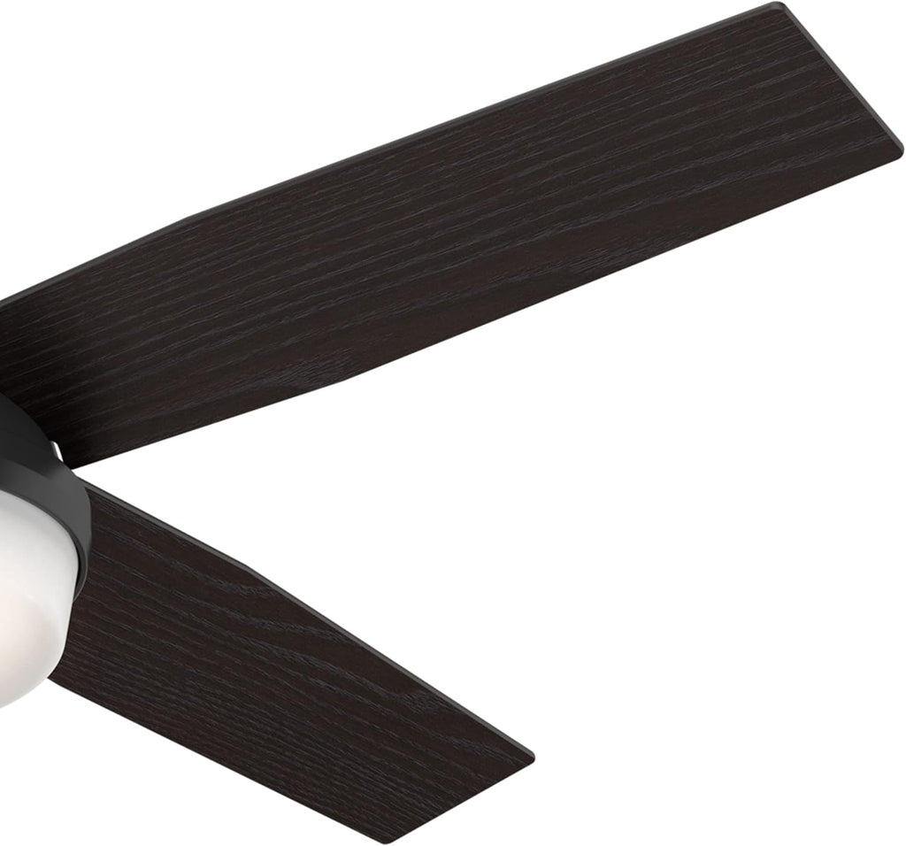 Hunter 52 inch Outdoor or Indoor Ceiling Fan with LED Light and Remote Control - Black Ceiling Fan, Standard Mount, 4 Blades, For Patio, Porch, Garage, or Living Room - Dempsey 59251, Matte Black