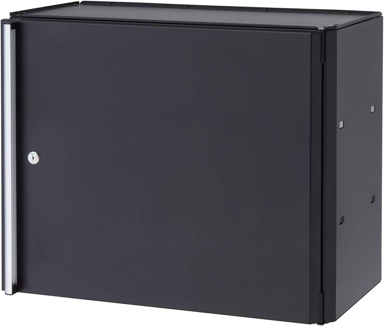 Trinity 24 Inch Garage Wall Storage Cabinet, 22 Gauge Steel, Wall-Mount, Adjustable Shelf and Reversible Door for Tools, Cleaning Supplies, and More, Black