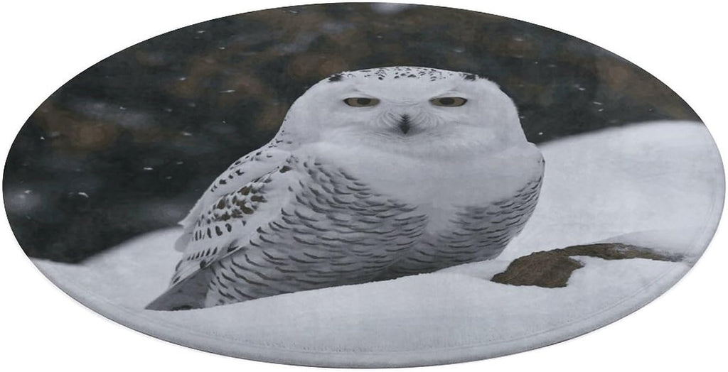 Snow Owl Coral Velvet Round Floor Mat Non-Slip Bath Rug Floor Covering for Bathroom Vanity Guest Suite & Vacation Home