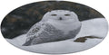 Snow Owl Coral Velvet Round Floor Mat Non-Slip Bath Rug Floor Covering for Bathroom Vanity Guest Suite & Vacation Home