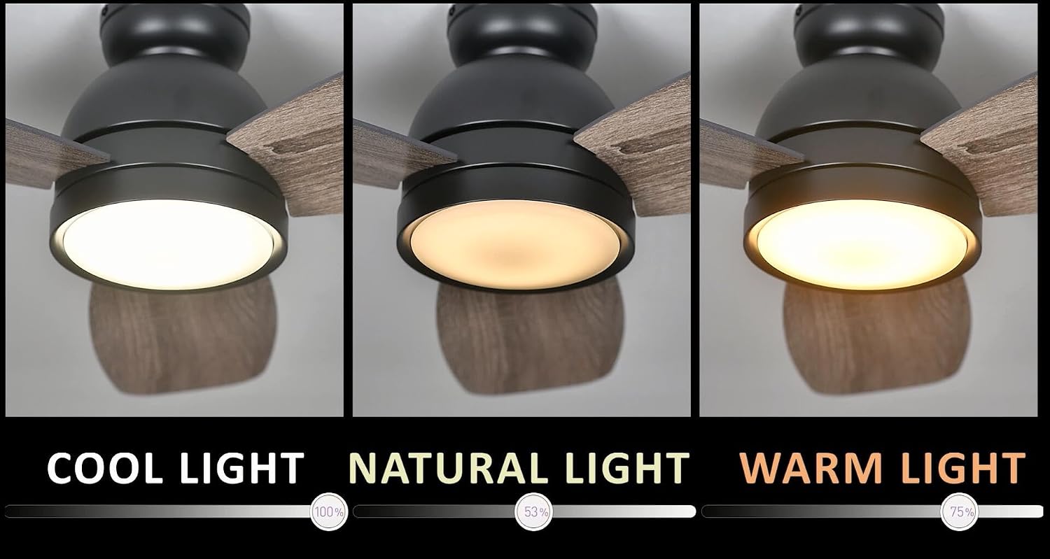Carro 44' Ceiling Fan with Light Flush Mount, DC 10 Speeds Silent Ceiling Fan with Remote, Low Profile Ceiling Fan with 3 Dual Finish Blades, 3 Light Colors Dimmable LED Ceiling Fan for Living Room