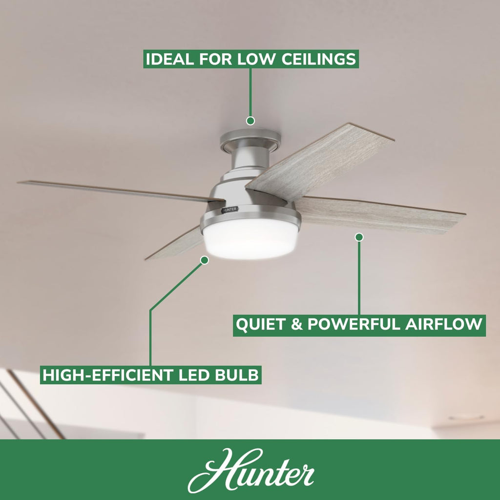 Hunter 52 inch Indoor Ceiling Fan with LED Light and Remote Control- Modern Ceiling Fan, Low Profile Mount, 4 Light Gray Oak Blades, For Bedroom, Living Room, or Kitchen- Dempsey 50283, Brushed Nickel