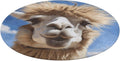 Funny Alpaca Llama Coral Velvet Round Floor Mat Non-Slip Bath Rug Floor Covering for Bathroom Vanity Guest Suite & Vacation Home