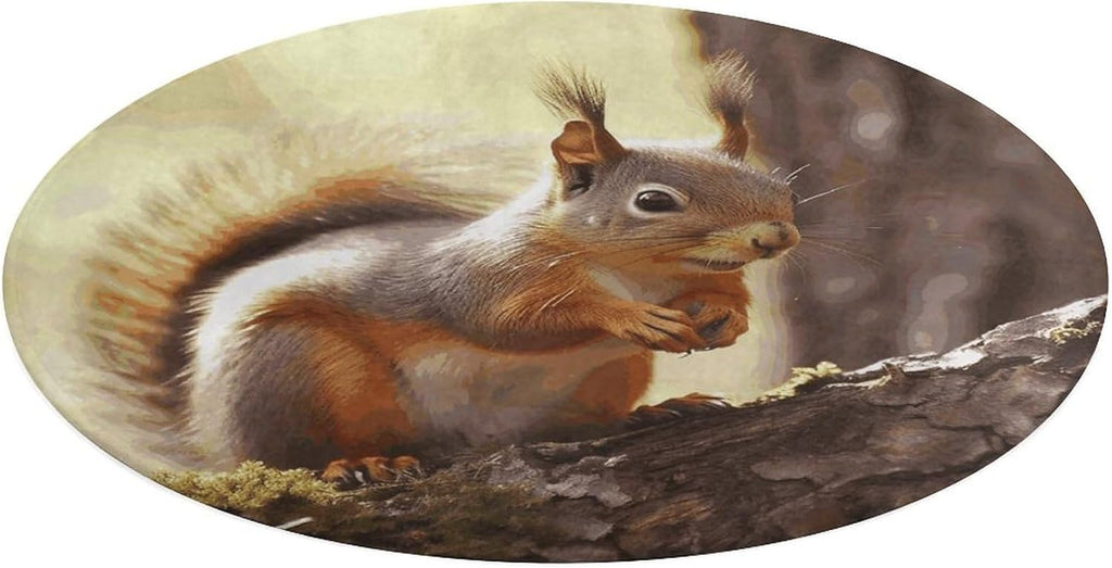 Funny Squirrel Coral Velvet Round Floor Mat Non-Slip Bath Rug Floor Covering for Bathroom Vanity Guest Suite & Vacation Home