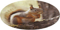 Funny Squirrel Coral Velvet Round Floor Mat Non-Slip Bath Rug Floor Covering for Bathroom Vanity Guest Suite & Vacation Home