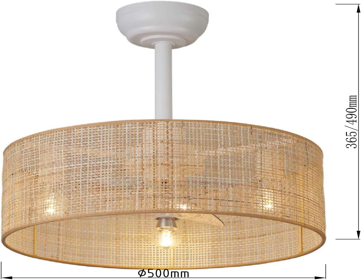 Low Profile Ceiling Fans with Lights 20' Ceiling Fans with Lights and Remote Flush Mount Ceiling Fan with Lights Boho Fandelier Ceiling Fan with 6 Speeds for Living Room Bedroom.