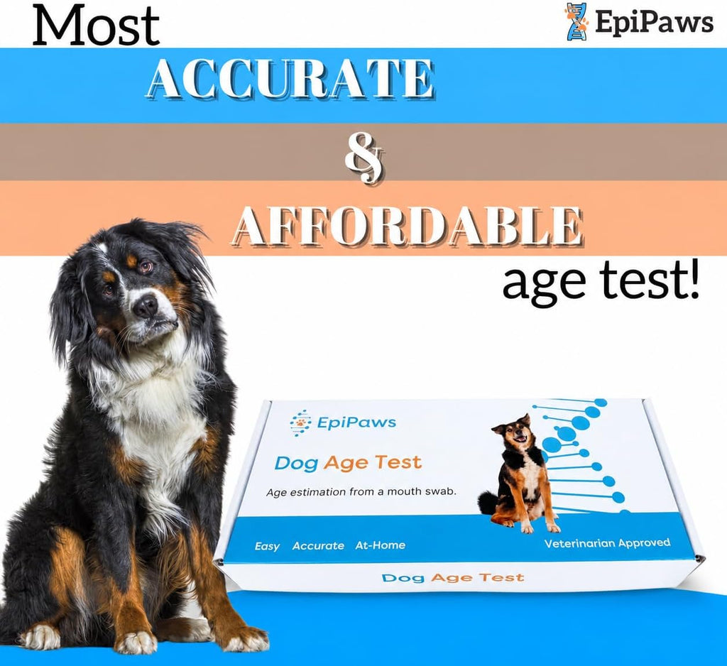 Dog Age Test - Includes Wellness Insights for Your Pet's Life Stage - At Home Epigenetic Biomarker Testing Kit, Great for Rescued Pets